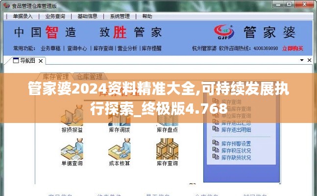 管家婆2024资料精准大全,可持续发展执行探索_终极版4.768