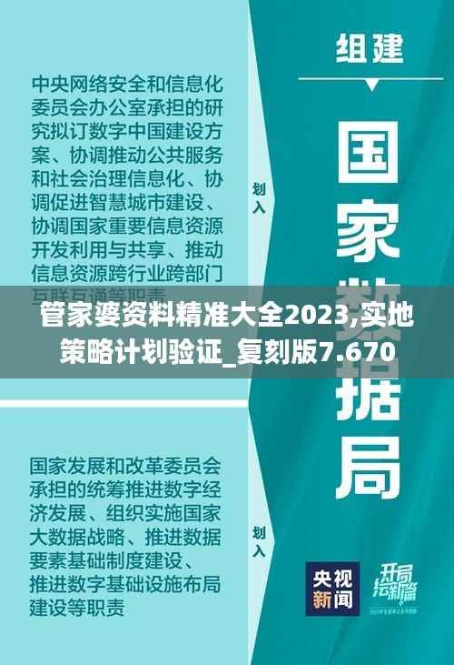 管家婆资料精准大全2023,实地策略计划验证_复刻版7.670