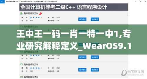 王中王一码一肖一特一中1,专业研究解释定义_WearOS9.114
