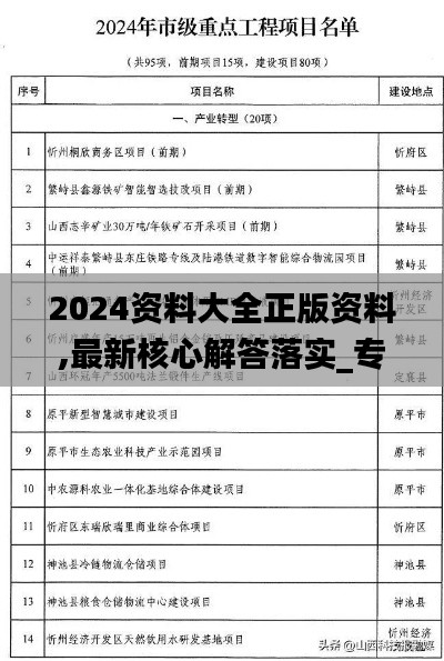 2024资料大全正版资料,最新核心解答落实_专属款14.203