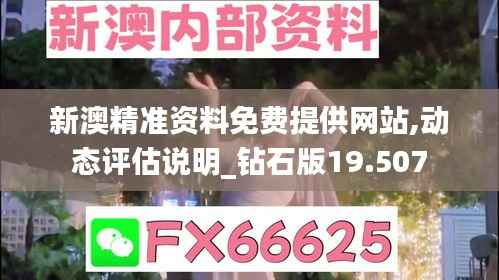 新澳精准资料免费提供网站,动态评估说明_钻石版19.507