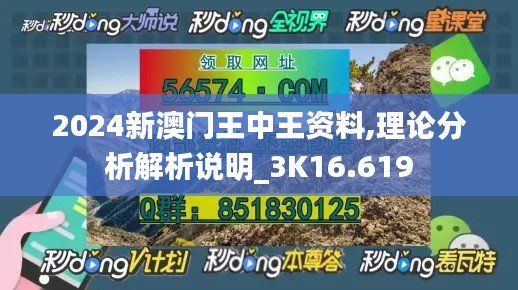 2024新澳门王中王资料,理论分析解析说明_3K16.619