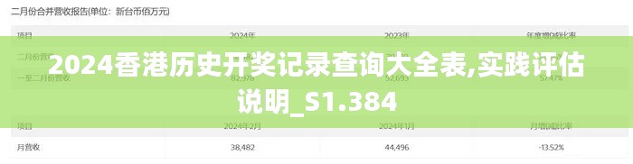 2024香港历史开奖记录查询大全表,实践评估说明_S1.384