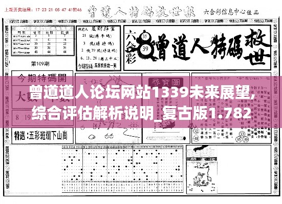 曾道道人论坛网站1339未来展望,综合评估解析说明_复古版1.782