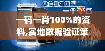 一码一肖100%的资料,实地数据验证策略_AP16.387