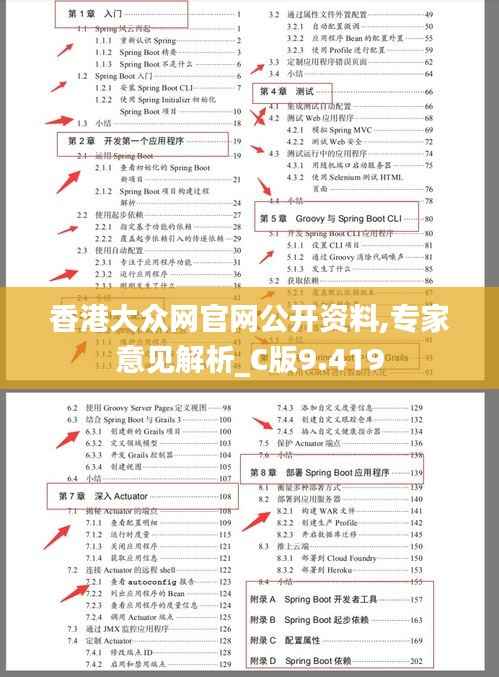 香港大众网官网公开资料,专家意见解析_C版9.419