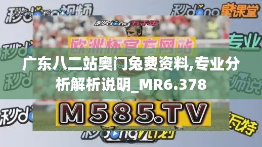 广东八二站奥门兔费资料,专业分析解析说明_MR6.378