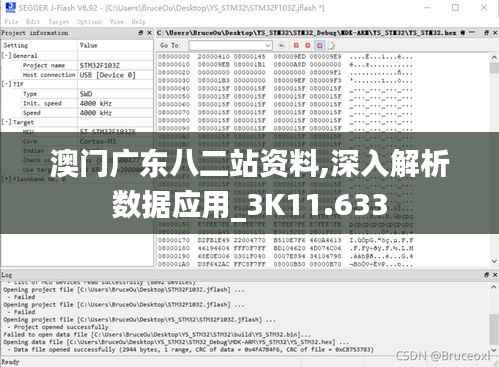 澳门广东八二站资料,深入解析数据应用_3K11.633