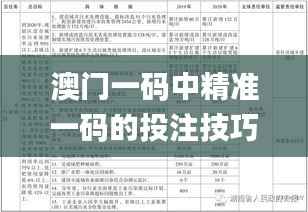 澳门一码中精准一码的投注技巧,社会责任方案执行_mShop4.623