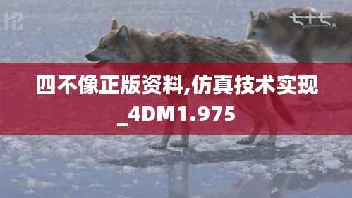 四不像正版资料,仿真技术实现_4DM1.975