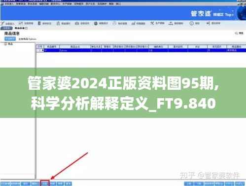 管家婆2024正版资料图95期,科学分析解释定义_FT9.840