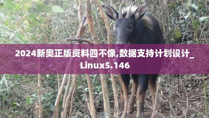2024新奥正版资料四不像,数据支持计划设计_Linux5.146