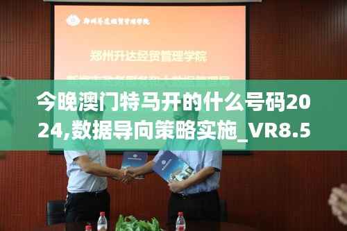 今晚澳门特马开的什么号码2024,数据导向策略实施_VR8.599