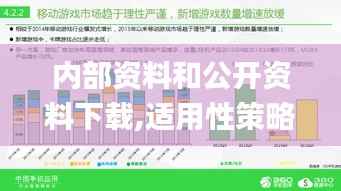 内部资料和公开资料下载,适用性策略设计_4DM5.947