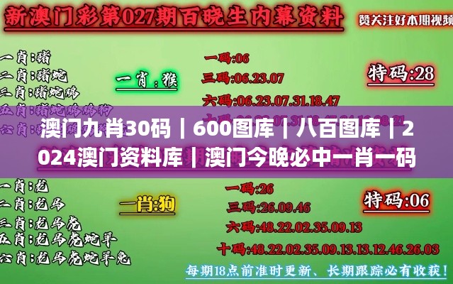 澳门九肖30码|600图库|八百图库|2024澳门资料库|澳门今晚必中一肖一码|永久免,未来规划解析说明_RX版9.311