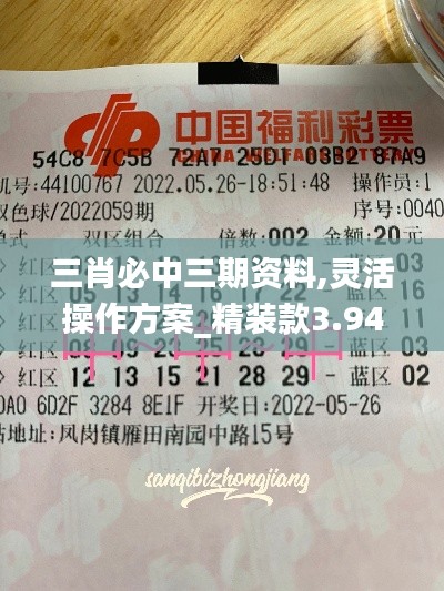 三肖必中三期资料,灵活操作方案_精装款3.948