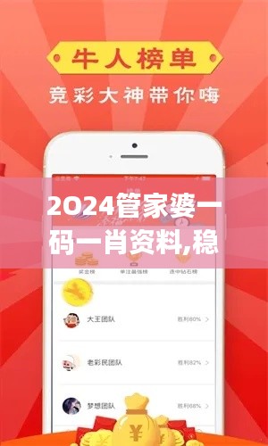 2O24管家婆一码一肖资料,稳定解析策略_战略版3.383