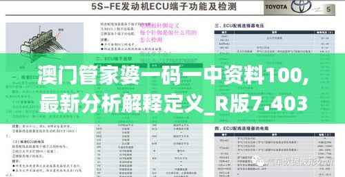 澳门管家婆一码一中资料100,最新分析解释定义_R版7.403