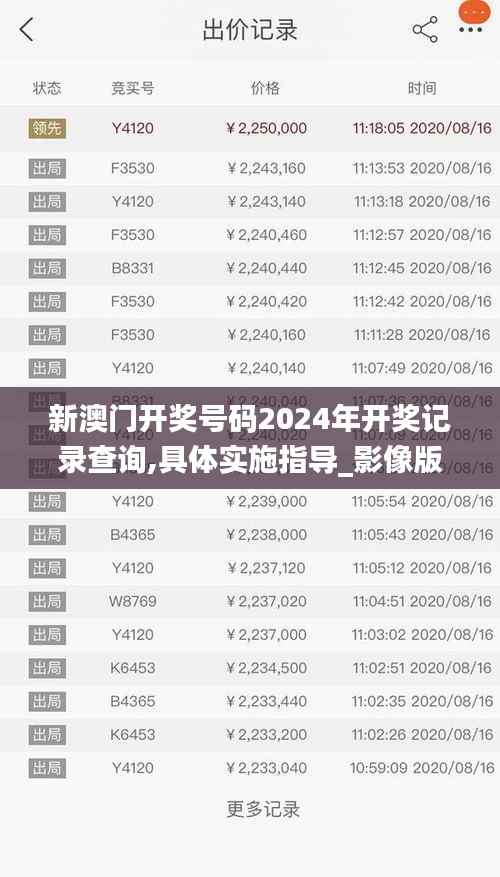 新澳门开奖号码2024年开奖记录查询,具体实施指导_影像版3.656
