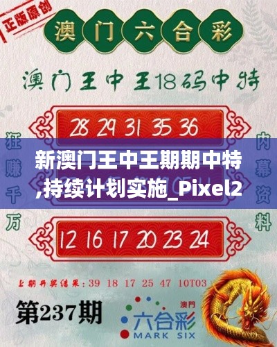 新澳门王中王期期中特,持续计划实施_Pixel2.191