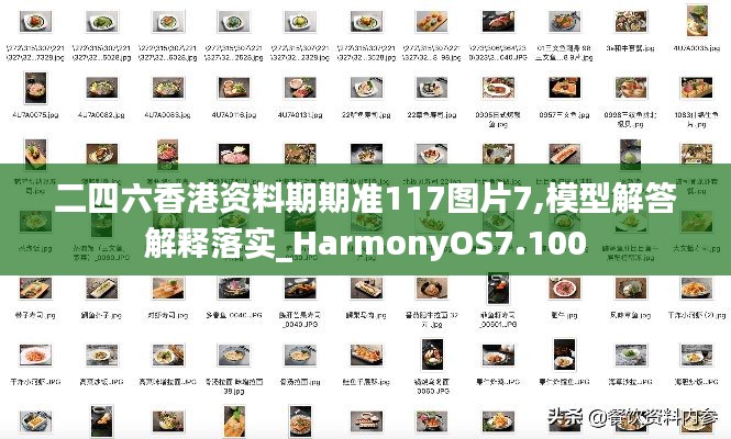 二四六香港资料期期准117图片7,模型解答解释落实_HarmonyOS7.100