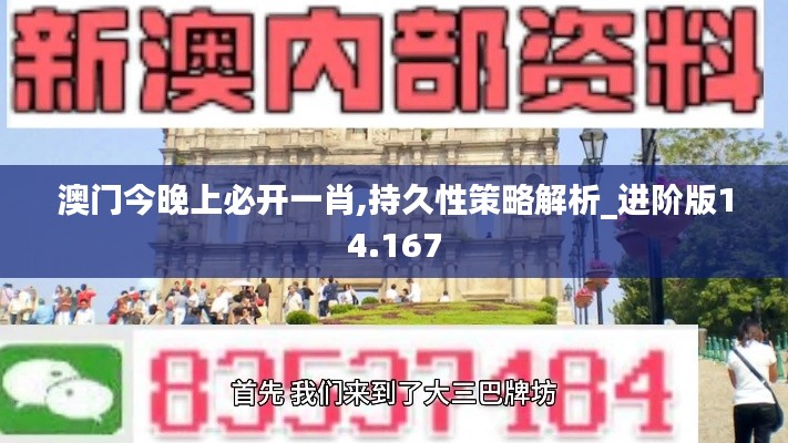 澳门今晚上必开一肖,持久性策略解析_进阶版14.167