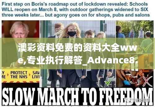 澳彩资料免费的资料大全wwe,专业执行解答_Advance8.248