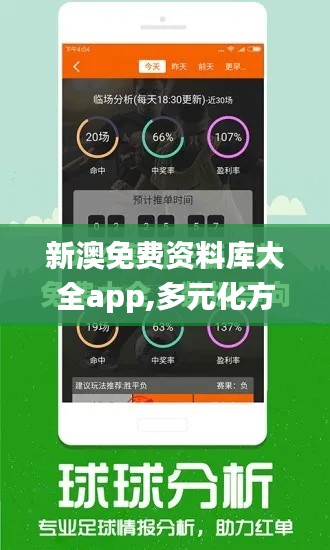 新澳免费资料库大全app,多元化方案执行策略_影像版2.721
