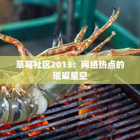 草莓社区2013:网络热点的璀璨星空