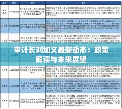 审计长刘加义最新动态：政策解读与未来展望