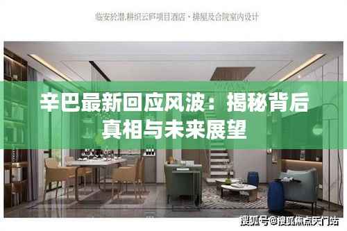 辛巴最新回应风波：揭秘背后真相与未来展望