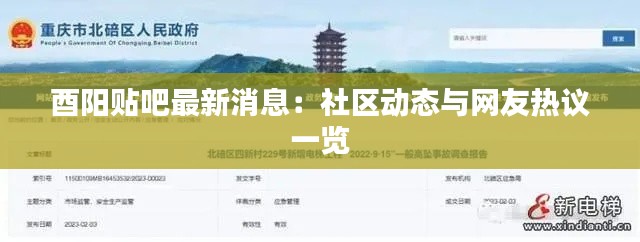酉阳贴吧最新消息:社区动态与网友热议一览
