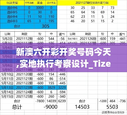 新澳六开彩开奖号码今天,实地执行考察设计_Tizen6.413