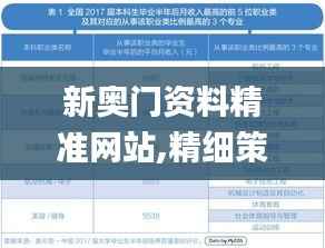 新奥门资料精准网站,精细策略分析_CT3.977