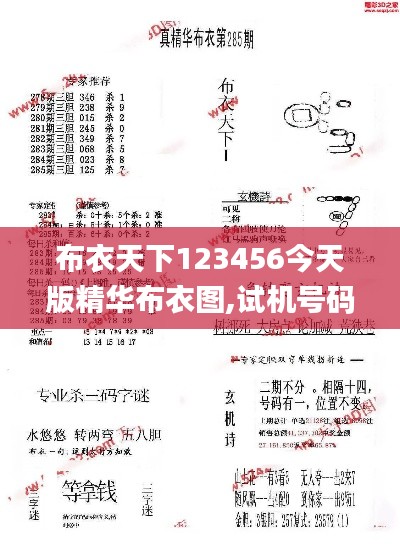布衣天下123456今天版精华布衣图,试机号码,清晰计划执行辅导_桌面版4.716