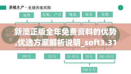 新澳正版全年免费资料的优势,优选方案解析说明_soft3.313