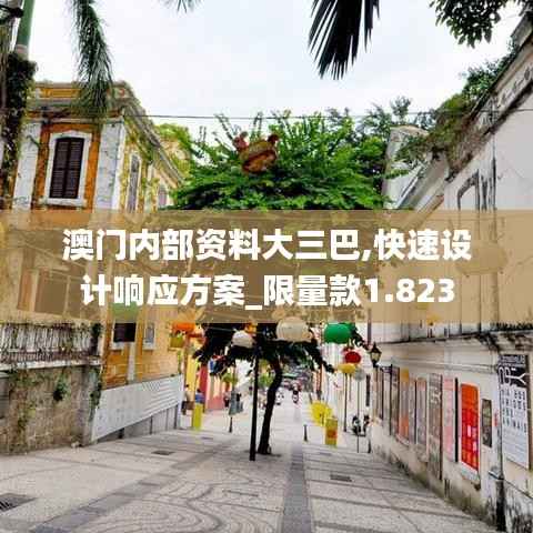 澳门内部资料大三巴,快速设计响应方案_限量款1.823
