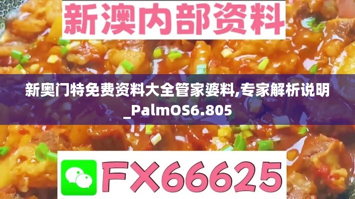 新奥门特免费资料大全管家婆料,专家解析说明_PalmOS6.805