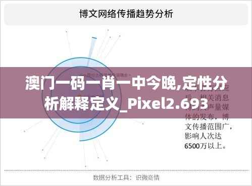 澳门一码一肖一中今晚,定性分析解释定义_Pixel2.693