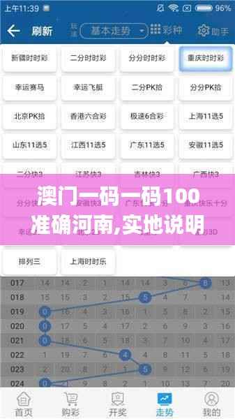 澳门一码一码100准确河南,实地说明解析_战斗版5.799