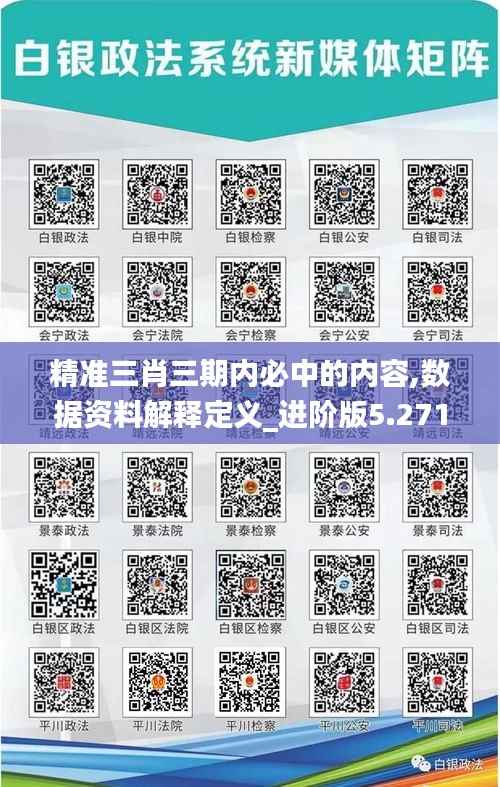 精准三肖三期内必中的内容,数据资料解释定义_进阶版5.271