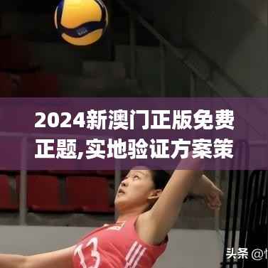 2024新澳门正版免费正题,实地验证方案策略_专业款6.327