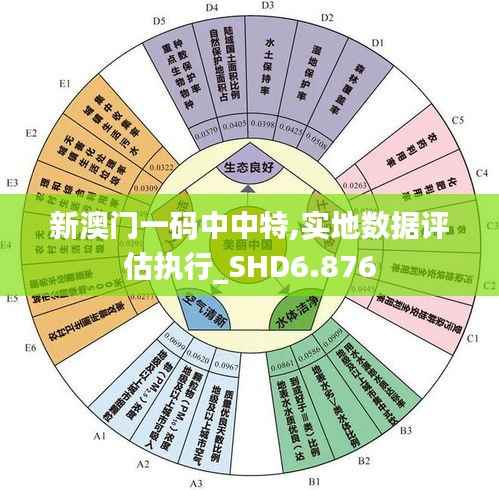 新澳门一码中中特,实地数据评估执行_SHD6.876