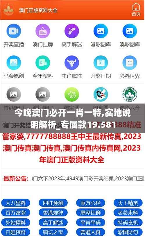 今晚澳门必开一肖一特,实地说明解析_专属款19.581