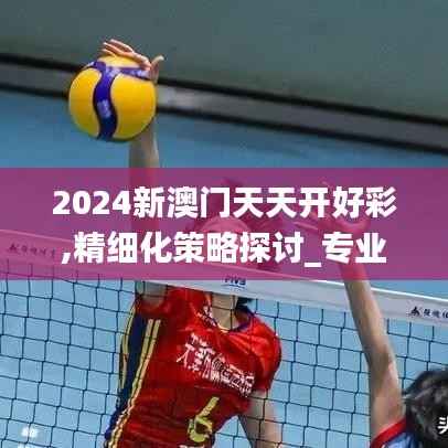 2024新澳门天天开好彩,精细化策略探讨_专业款17.512