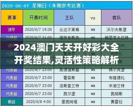 2024澳门天天开好彩大全开奖结果,灵活性策略解析_The6.234