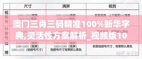 澳门三肖三码精准100%新华字典,灵活性方案解析_视频版10.431