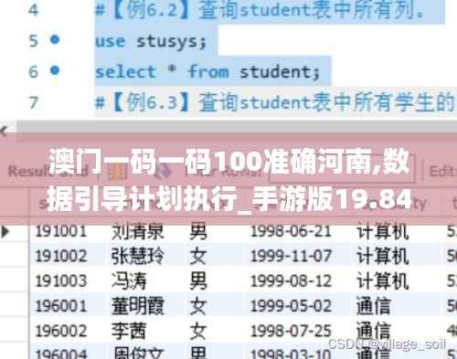 澳门一码一码100准确河南,数据引导计划执行_手游版19.841