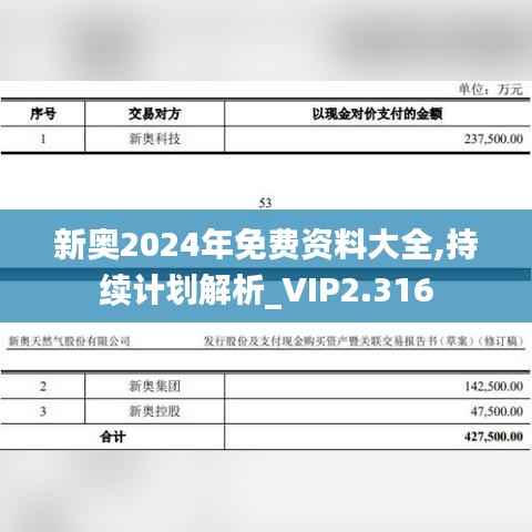 新奥2024年免费资料大全,持续计划解析_VIP2.316
