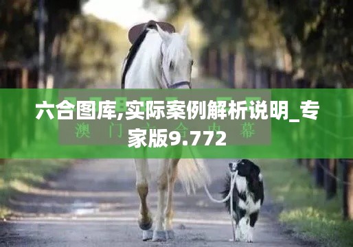 六合图库,实际案例解析说明_专家版9.772